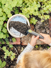 Load image into Gallery viewer, This Calls For Fizz