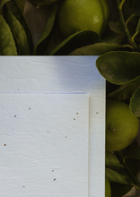 Load image into Gallery viewer, Grow with our Thanks