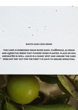 Load image into Gallery viewer, Grow with our Thanks