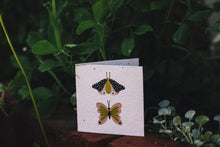 Load image into Gallery viewer, Butterflies