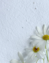 Load image into Gallery viewer, Festive Feels - Stripes