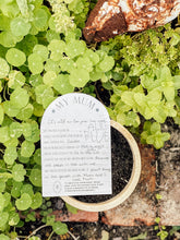 Load image into Gallery viewer, Plantable 'My Mum' - Story Card