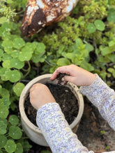 Load image into Gallery viewer, Plantable 'My Mum' - Story Card