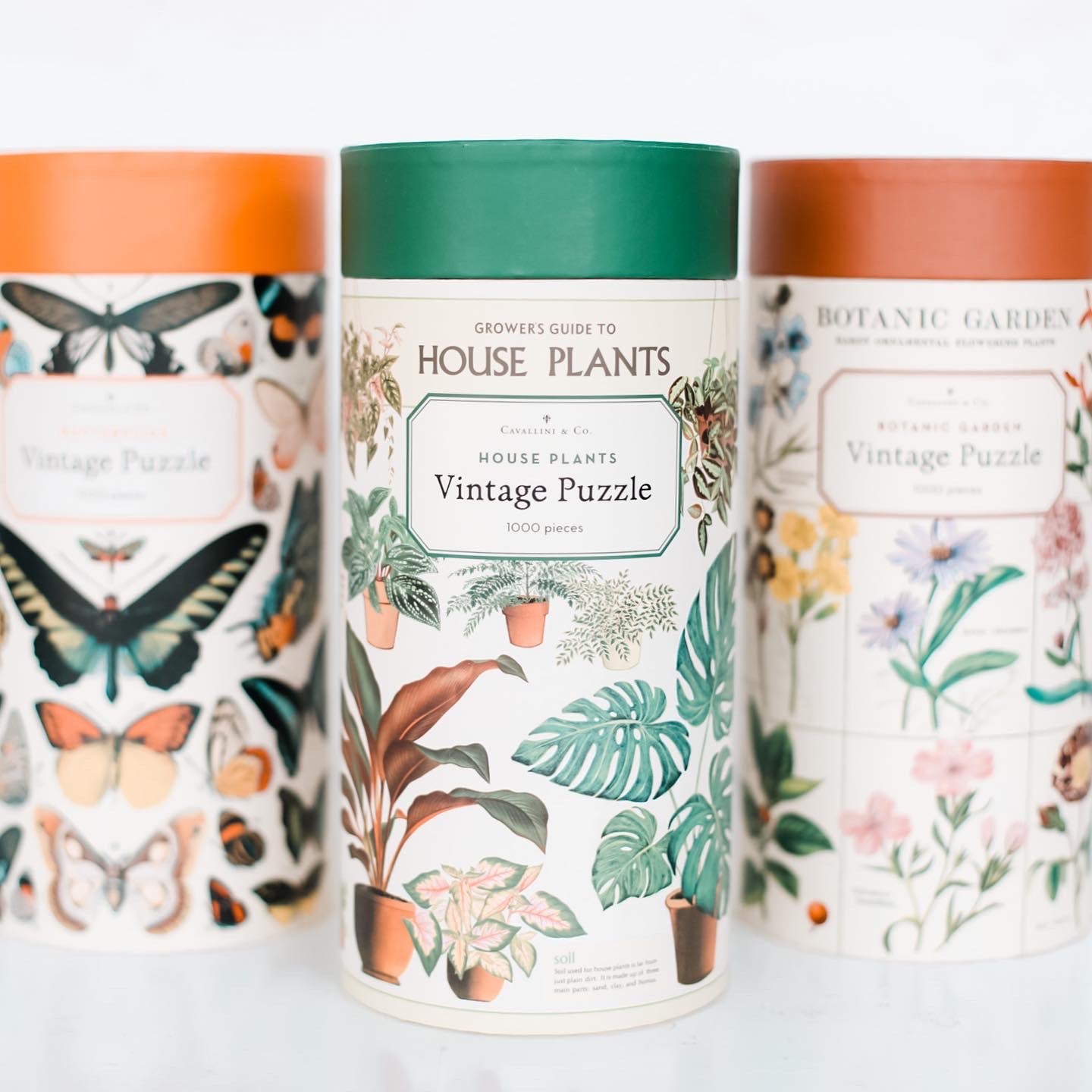 house plants vintage puzzle Cavallini & Co. Vintage Puzzles – The Paper Daisy Co