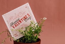 Load image into Gallery viewer, Valentine&#39;s Day - A Stamp on My Heart

