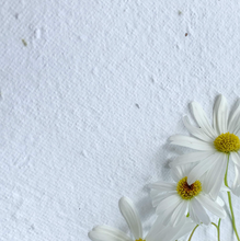 Load image into Gallery viewer, G01 - Flower Friends
