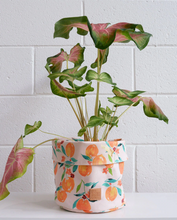 Load image into Gallery viewer, The Somewhere Co - Medium Planter Bag &quot;Orange Blossom&quot;
